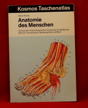 Anatomie des MenschenIII. Rumpfwand, Beckengürtel  und Bein. Kursus der makroskopischen Anatomie für Mediziner