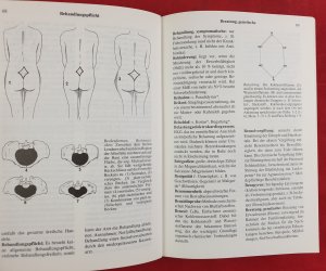 gebrauchtes Buch – Josef Hammerschmid-Gollwitzer – Das Wörterbuch der medizinischen Fachausdrücke