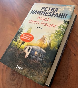 gebrauchtes Buch – Petra Hammesfahr – Nach dem Feuer