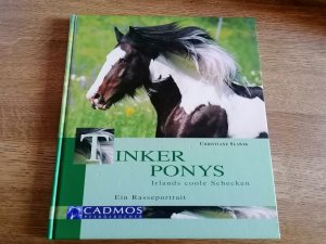 gebrauchtes Buch – Christiane Slawik – Tinker Ponys