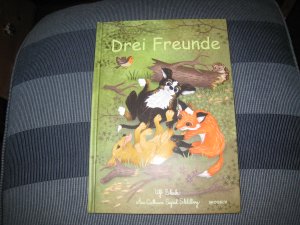 gebrauchtes Buch – Ulf Stark  – Drei Freunde