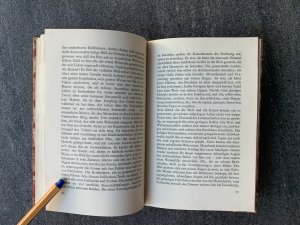 antiquarisches Buch – Nikolai Gogol – Das Bildnis [insel Bücherei 386]