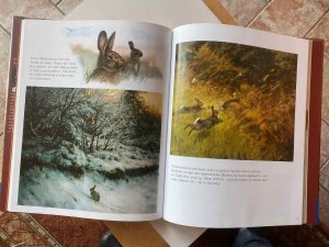 gebrauchtes Buch – Rien Poortvliet – Wildtiere in Feld und Flur