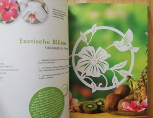 gebrauchtes Buch – Meine faszinierende Papierwelt- Dekorationen und Geschenke selbst gestalten