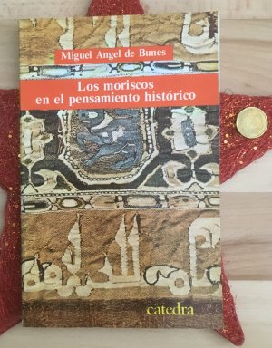 Los moriscos en el pensamiento historico. Historiografia de un grupo marginado