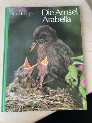 Die Amsel Arabella