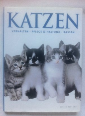 Katzen - MEGAsale !