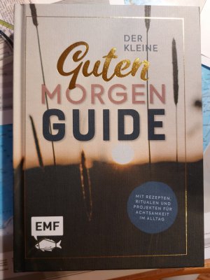 gebrauchtes Buch – ELisabeth Berkau, Nadja Buchczik u – Der kleine Guten Morgen Guide