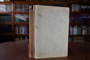 Die Eingeborenen vom Strom. Übertragen von Ravi Ravendro.