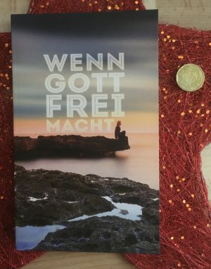 gebrauchtes Buch – Gitti Niederseer – Wenn Gott frei macht