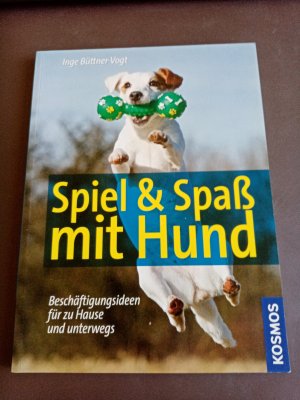 Spiel & Spaß mit Hund