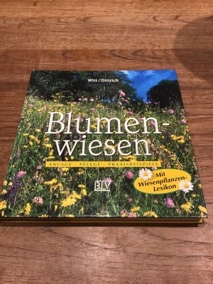 Blumenwiesen