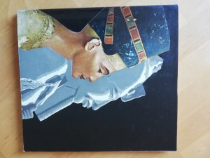 gebrauchtes Buch – Nofretete  Echnaton