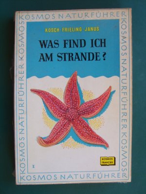 Was find ich am Strande?