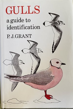 gebrauchtes Buch – P.J.Grant – GULLS  a guide to identification