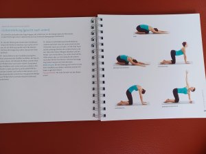 gebrauchtes Buch – Rountree, Saga NEU  – Everyday Yoga - Yoga für alle - vom Einsteiger bis zum Top-Athleten Mit Core-Training für mehr Kraft und Flexibilität