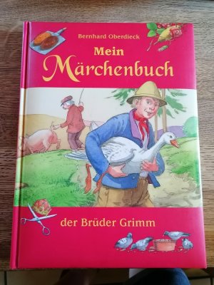 gebrauchtes Buch – Mein Märchenbuch der Brüder Grimm