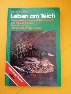 Leben am Teich    -    die vielfältige Tier- und Pflanzenwelt