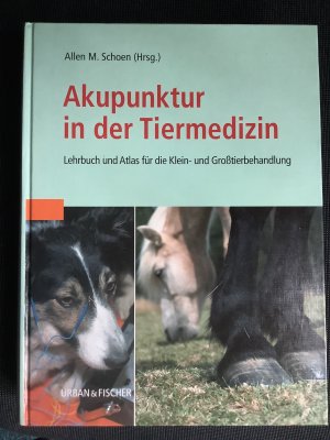 Akupunktur in der Tiermedizin