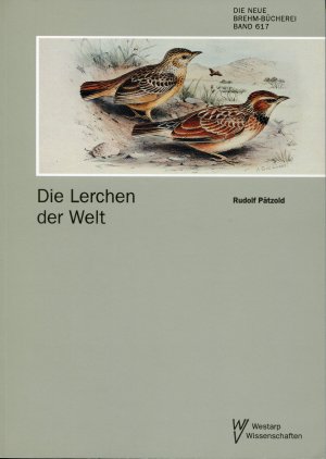 gebrauchtes Buch – Rudolf Pätzold – Die Lerchen der Welt - Alaudidae