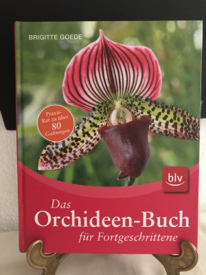 gebrauchtes Buch – Brigitte Goede – Das Orchideen-Buch für Fortgeschrittene; Praxisratgeber zu über 80 Gattungen