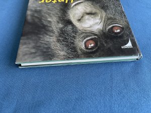 gebrauchtes Buch – Matto Barfuss – Unter Berggorillas