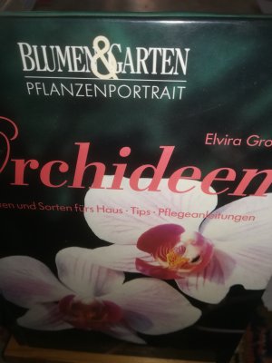 gebrauchtes Buch – Groß Elvira – Orchideen, Arten und Sorten fürs Haus, Tips, Pflegeanleitungen