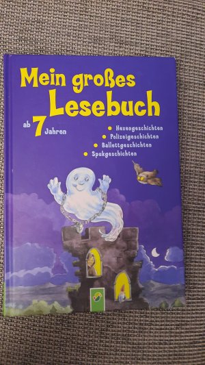 gebrauchtes Buch – Breitenborn, Anke; Clausen – Mein großes Lesebuch ab 7 Jahren