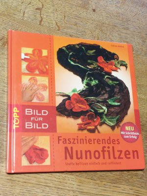 gebrauchtes Buch – Sabine Göthel – Faszinierendes Nunofilzen Bild für Bild