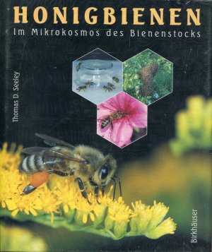 Honigbienen - Im Mikrokosmos des Bienenstocks