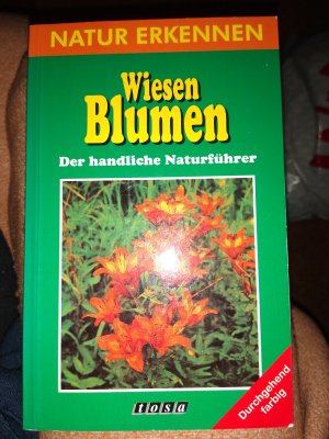 Natur erkennen / Wiesenblumen