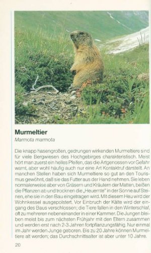 gebrauchtes Buch – Einhard Bezzel – Kilda-Naturführer: Säugetiere - erkennen und bestimmen