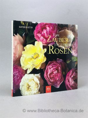 gebrauchtes Buch – Austin, David/Helga Urban  – Vom Zauber englischer Rosen.