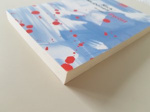 gebrauchtes Buch – Nick McDonell – Zwölf