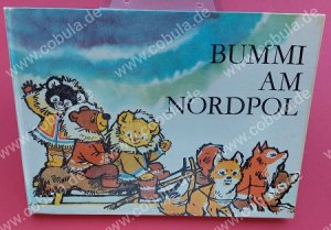 Bummi am Nordpol