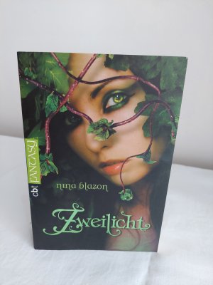 gebrauchtes Buch – Nina Blazon – Zweilicht