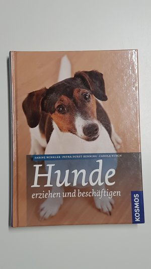 Hunde erziehen und beschäftigen