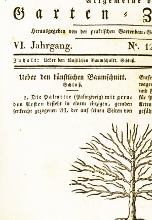 "Ueber den künstlichen Baumschnitt" 1828