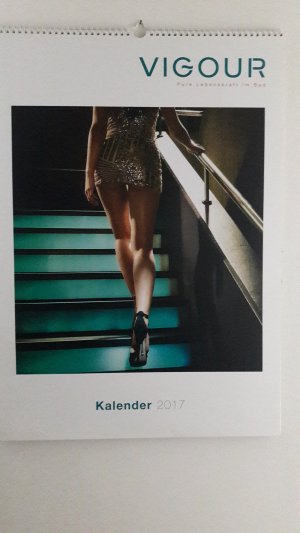 Vigour Kalender 2017