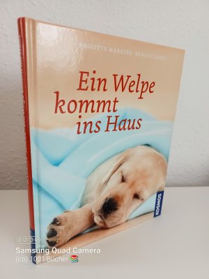 Ein Welpe kommt ins Haus