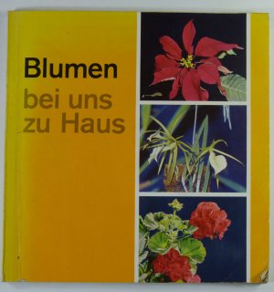 Blumen bei uns zu Hause