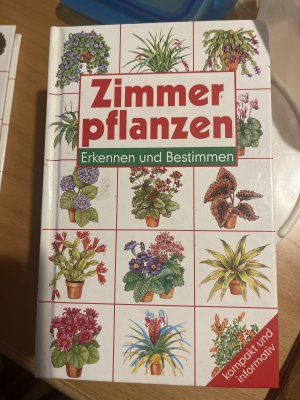 gebrauchtes Buch – Zimmerpflanzen