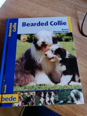 Bearded Collie