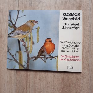 gebrauchtes Buch – Kosmos Wandbild Singvögel Jahresvögel