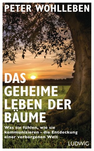 gebrauchtes Buch – Peter Wohlleben – Das geheime Leben der Bäume - Was sie fühlen, wie sie kommunizieren - die Entdeckung einer verborgenen Welt