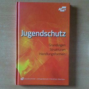 Jugendschutzgesetz - Grundlagen, Strukturen  und Handlungsformen - AJS