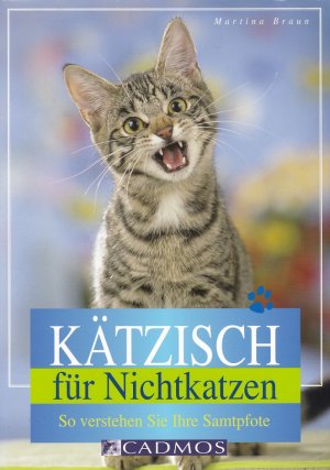 KÄTZISCH FÜR NICHTKATZEN - So verstehen Sie Ihre Samtpfote