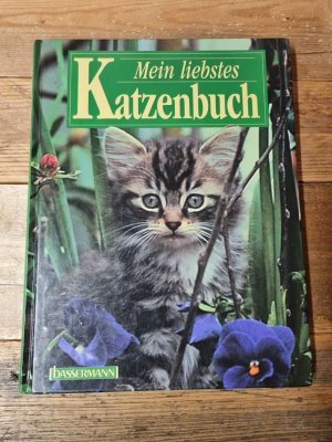 gebrauchtes Buch – Eckstein, Warren; Eckstein – Mein allerliebstes Katzenbuch