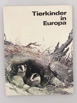 gebrauchtes Buch – Klaus Ruge – Tierkinder in Europa