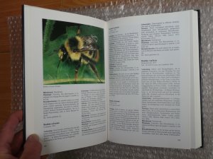 gebrauchtes Buch – Paul Westrich – Die Wildbienen Baden-Württembergs, Band 1, 2 / Bände I, II
